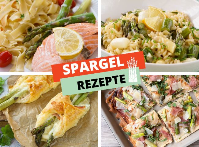 Spargel Rezepte