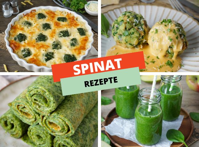 Spinat Rezepte