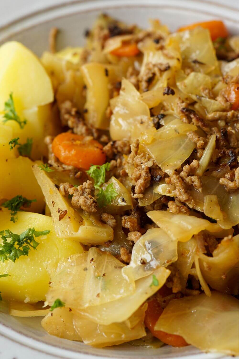 Spitzkohl Pfanne mit Hackfleisch