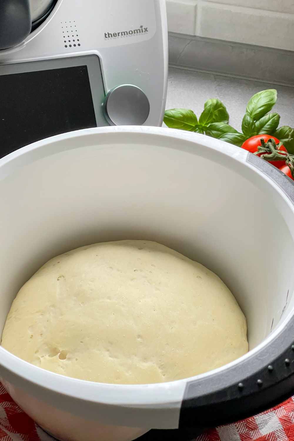 Thermomix Pizzateig