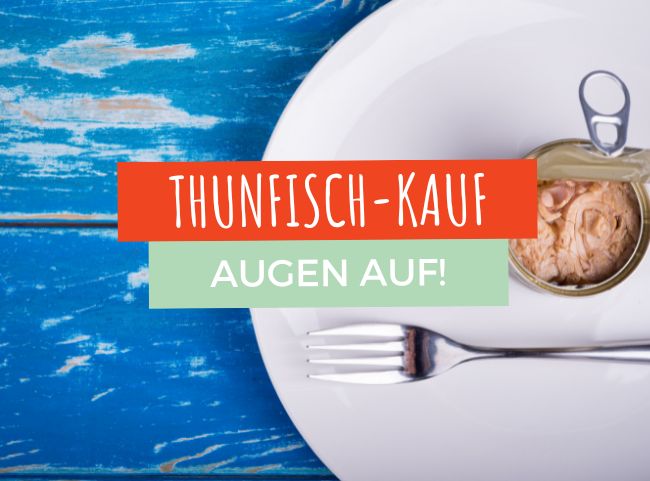 Thunfisch aus der Dose - Einkaufstipps