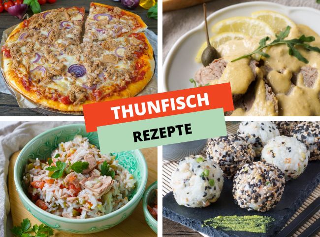 Thunfisch Rezepte