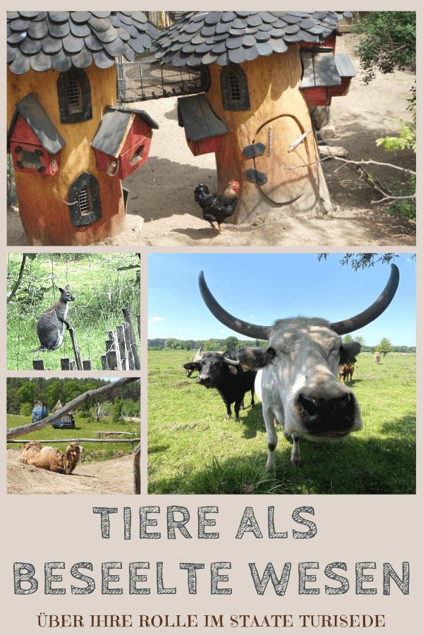 Tierpark - Turisede Kulturinsel Einsiedel Tierpark - Turisede Kulturinsel Einsiedel