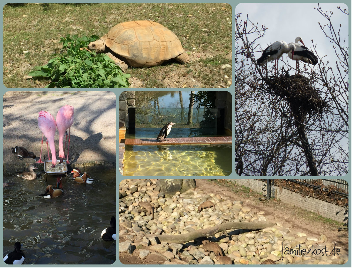 Tiere im Luisenpark Mannheim