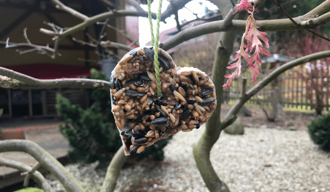 Vogelfutter selber machen