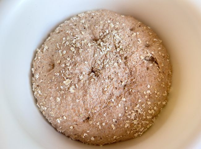 Vollkornbrötchen Teig