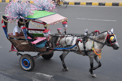 Von Indonesien nach Kambodscha