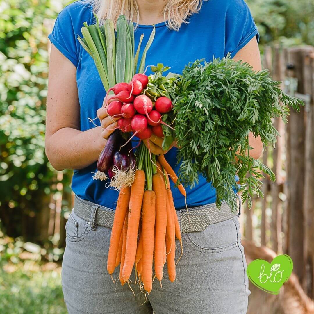 Vorteile und Nachteile Bio Lebensmitte Vorteile und Nachteile Bio Lebensmitte