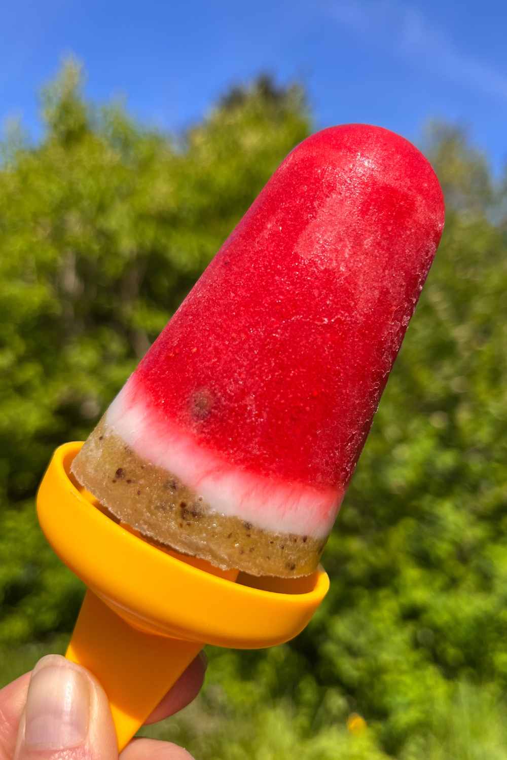 Wassermelonen Eis am Stiel