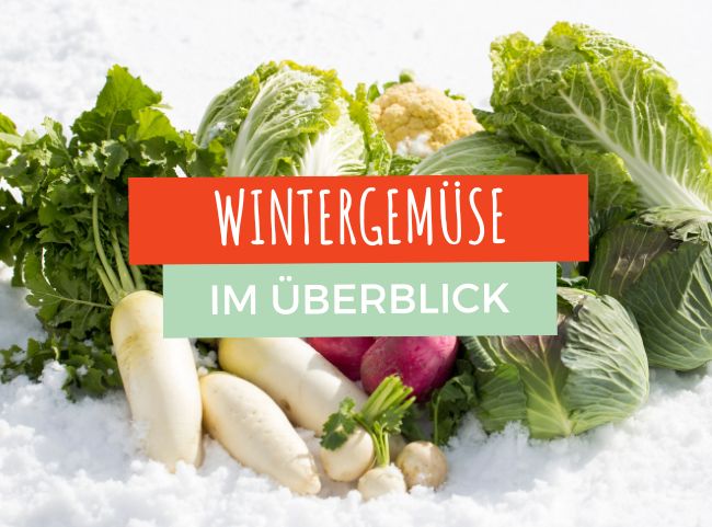 Lebensmittel im Überblick: Wintergemüse