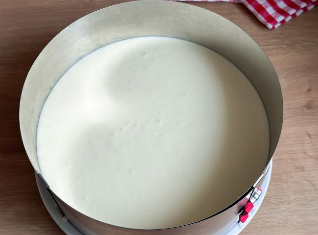Zitronen Joghurt Torte selber machen