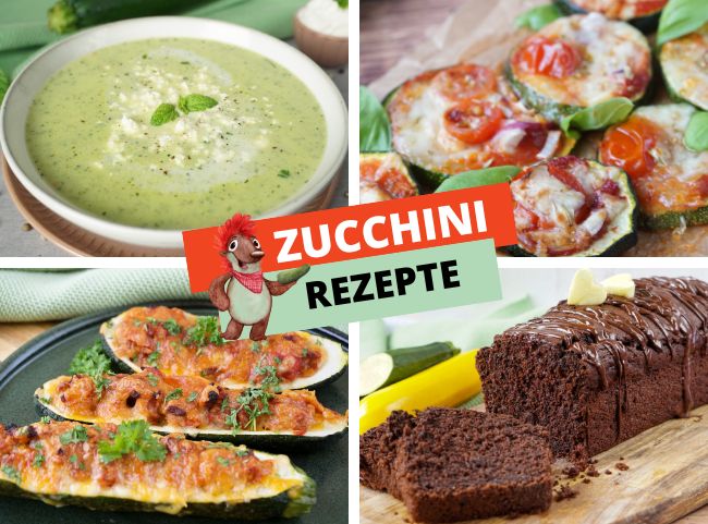 Zucchini Rezepte