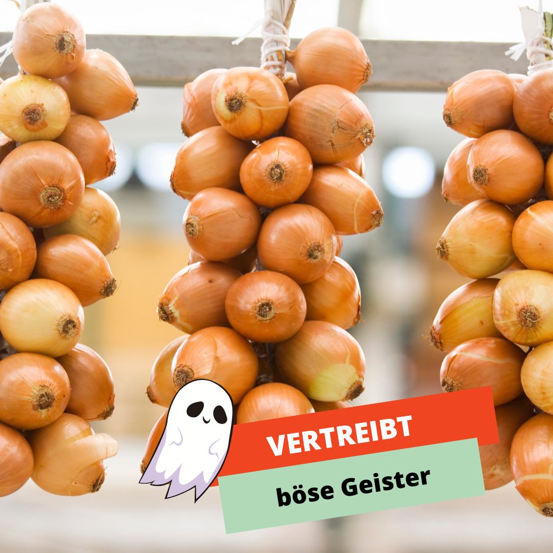 Zwiebel vertreibt böse Geister