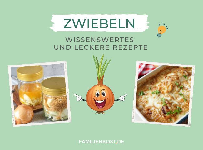 Zwiebeln in der Familienküche