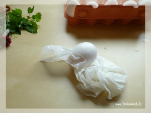 Zwiebelschale